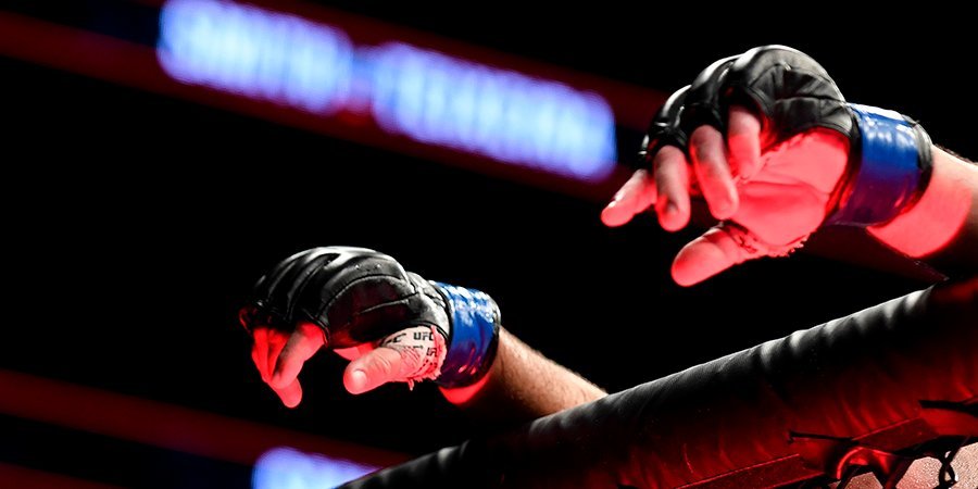 Алджамейн Стерлинг — Шон О'Мэлли: где смотреть онлайн боя UFC 292 20 августа